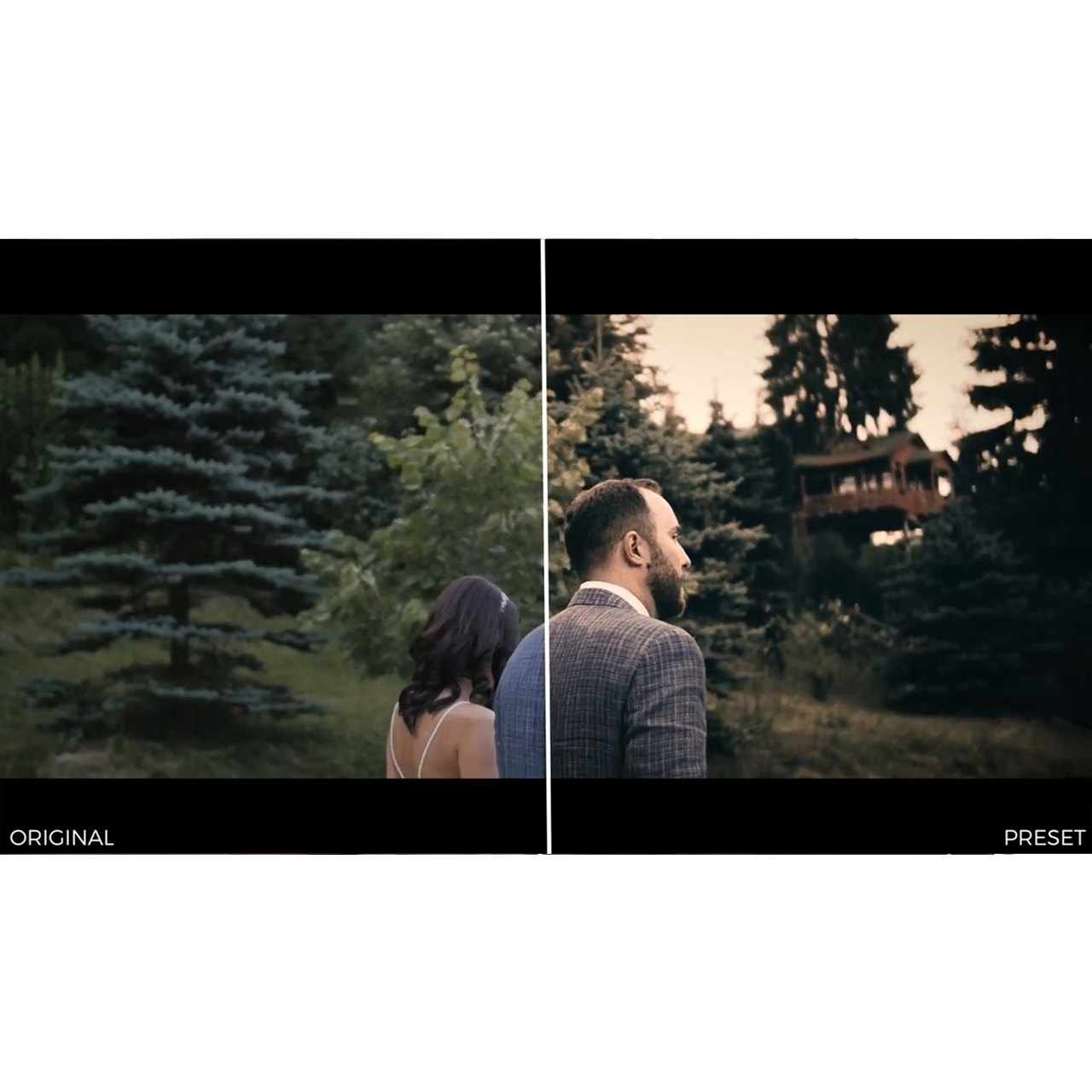 Wedding Color Presets