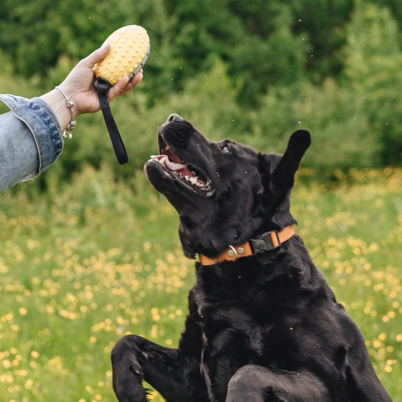 Отзывы. Главная