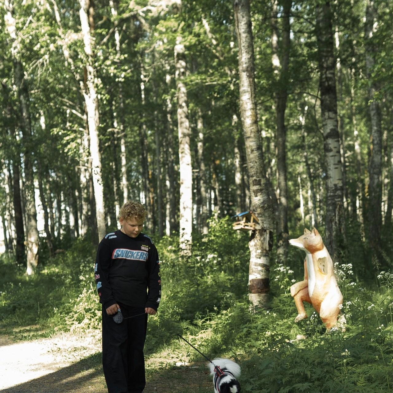 Отзывы. Главная