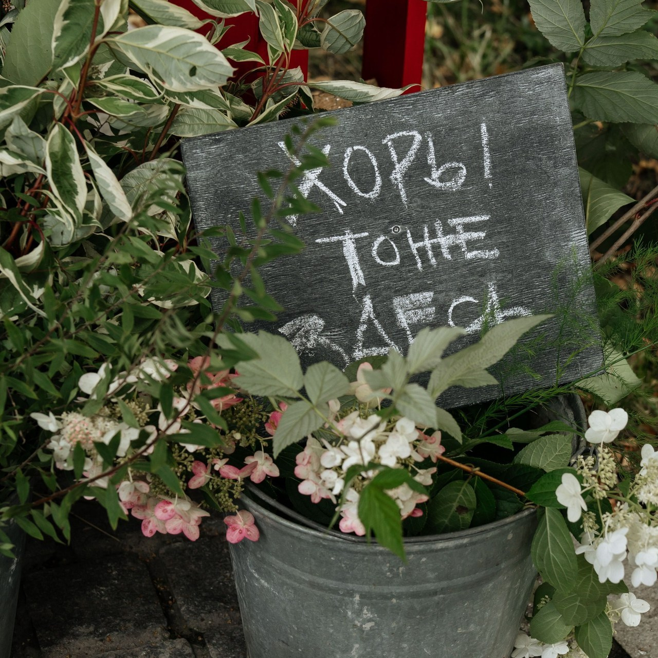 Отзывы. Фотограф Ерохина Светлана — фотосессии в Екатеринбурге