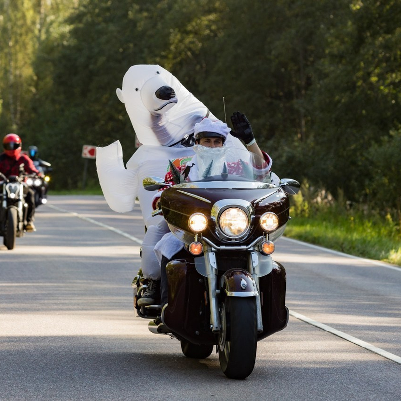 Отзывы. Репортажный фотограф Борис Padre Кривошеев