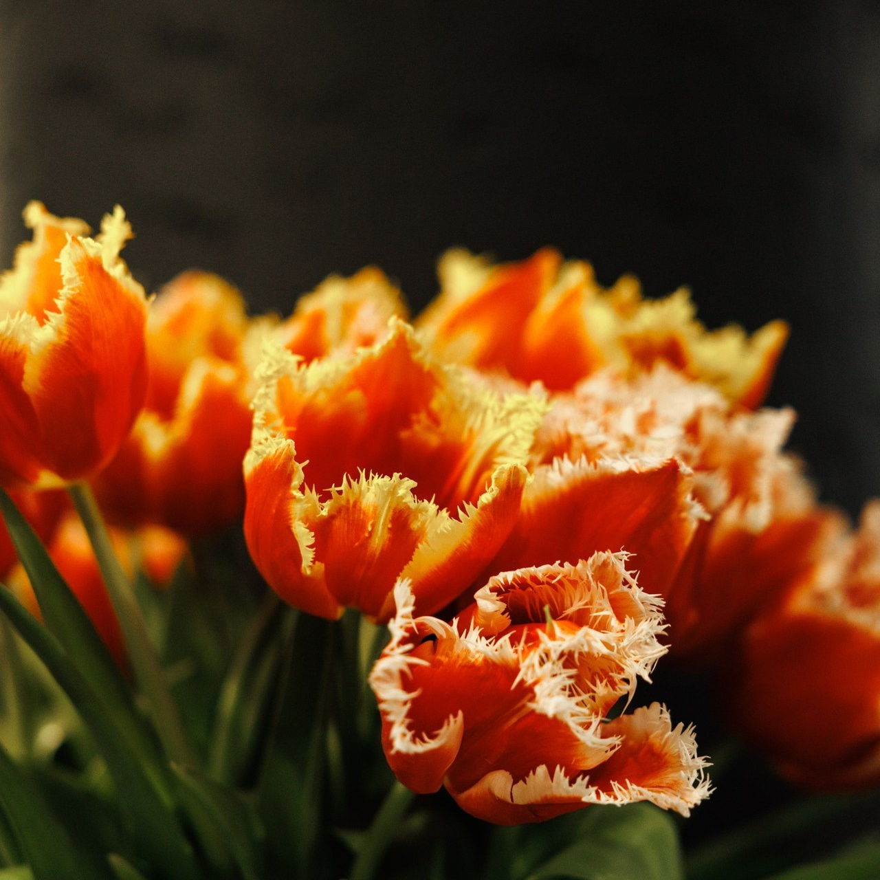 Отзывы. Фотограф Ставрополь Петр Голубенко