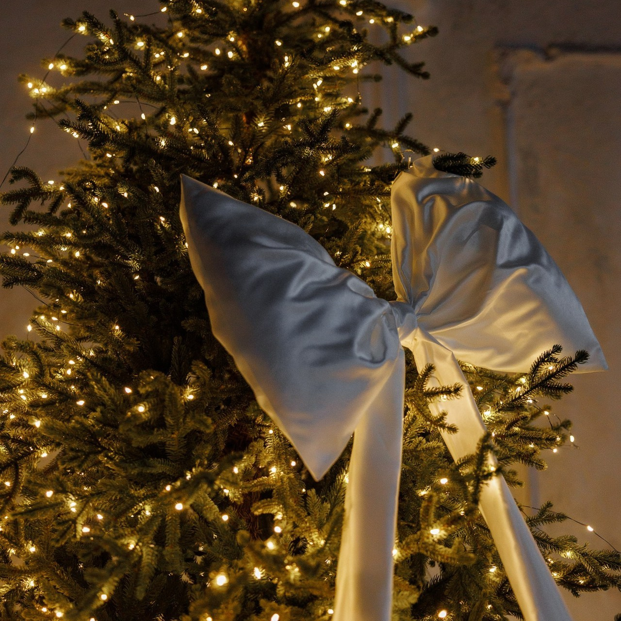 Отзывы. Фотограф Ставрополь Петр Голубенко