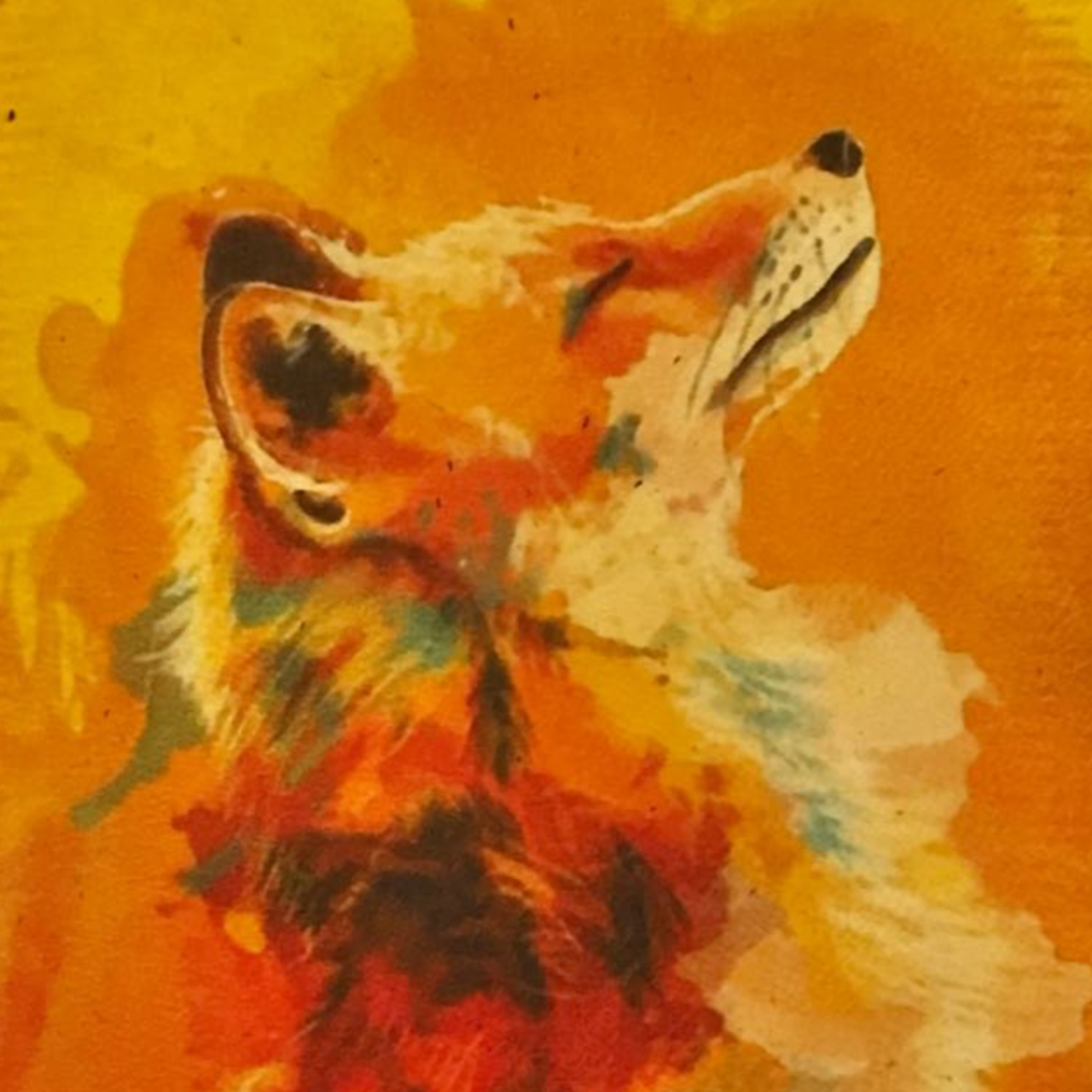 Отзывы | Фотограф Елизавета Комарова Питер. Портретный, репортажный фотограф Санкт-Петербург Елизавета Комарова