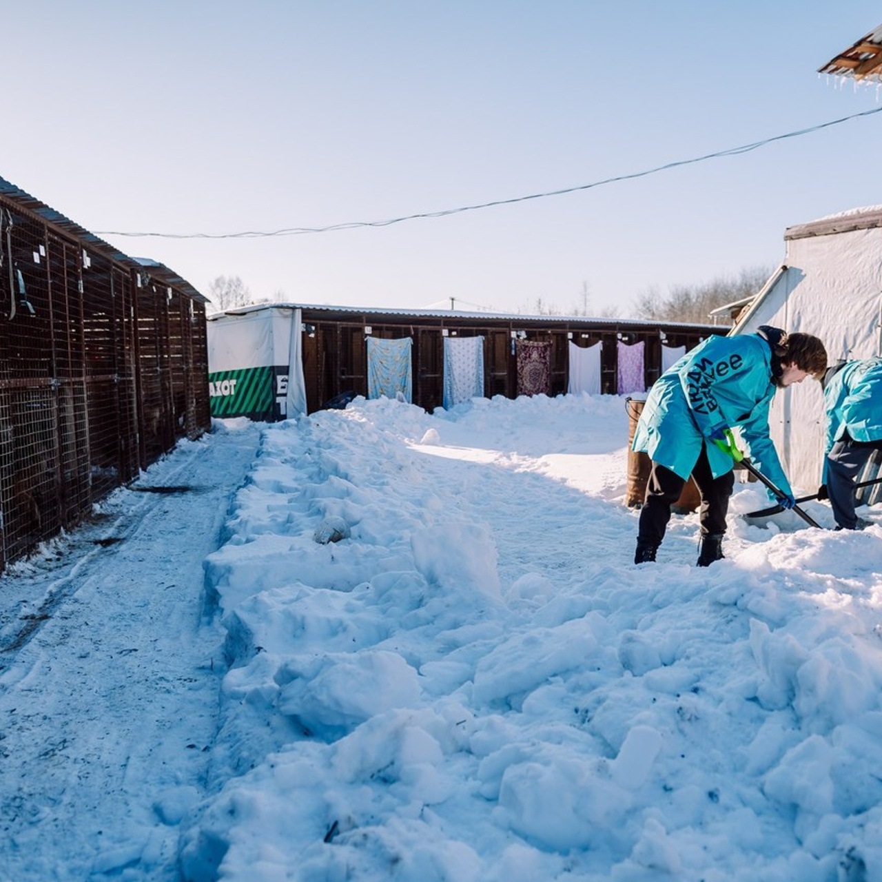 Отзывы. Детский фотограф, семейный фотограф и репортажи в Кемерово