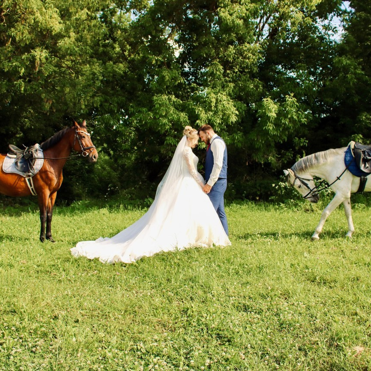 Отзывы. Фотограф в Курске Смирнов Евгений