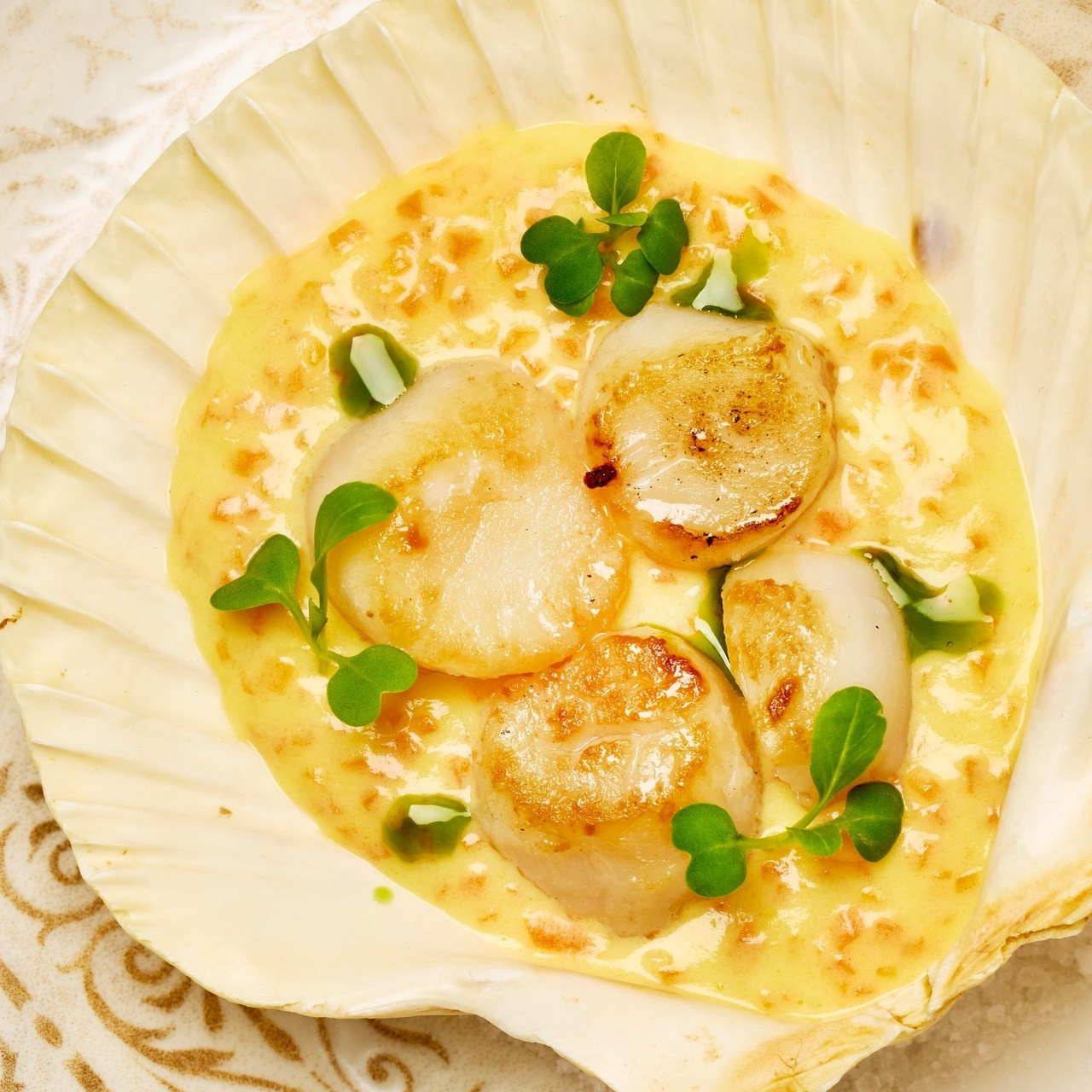 Отзывы. Контент фотограф в Москве Александр Хитько