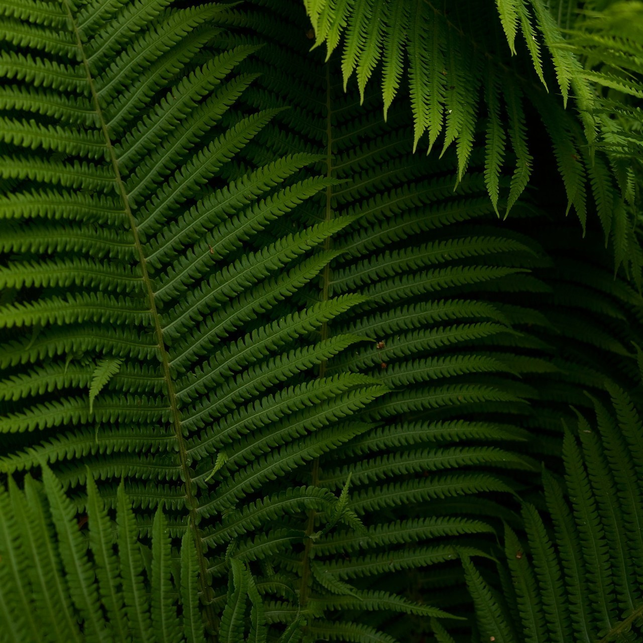 Отзывы. Контент фотограф в Москве Александр Хитько