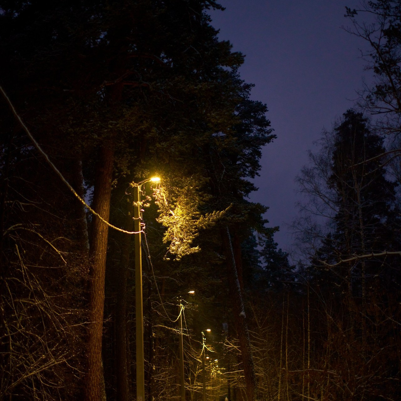 Отзывы. Контент фотограф в Москве Александр Хитько