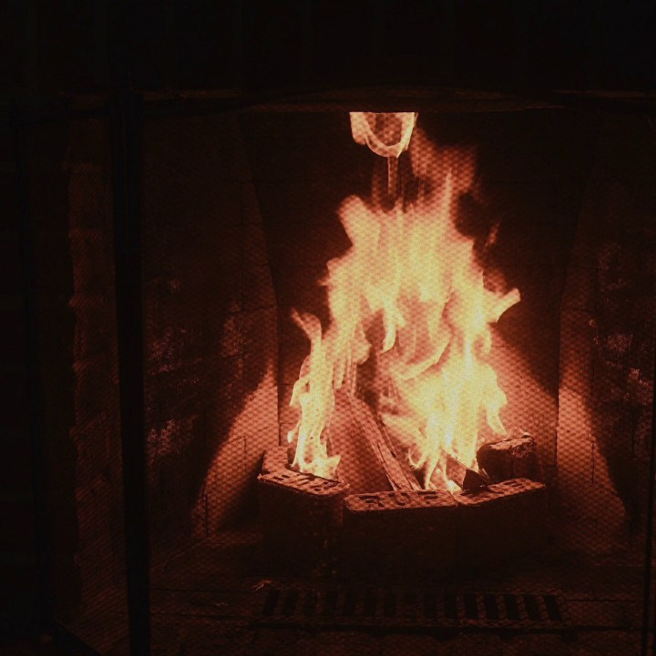 Отзывы. Свадебный и семейный фотограф в Ростове-на-Дону