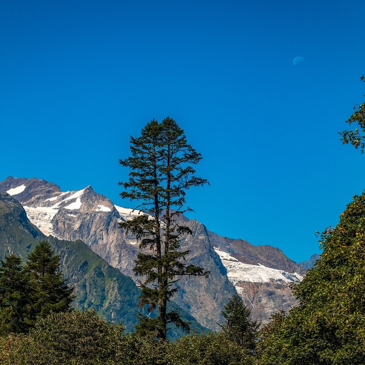 Отзывы. Фотограф в Ессентуках КМВ Валерий Нуриаслямов pilotfoto