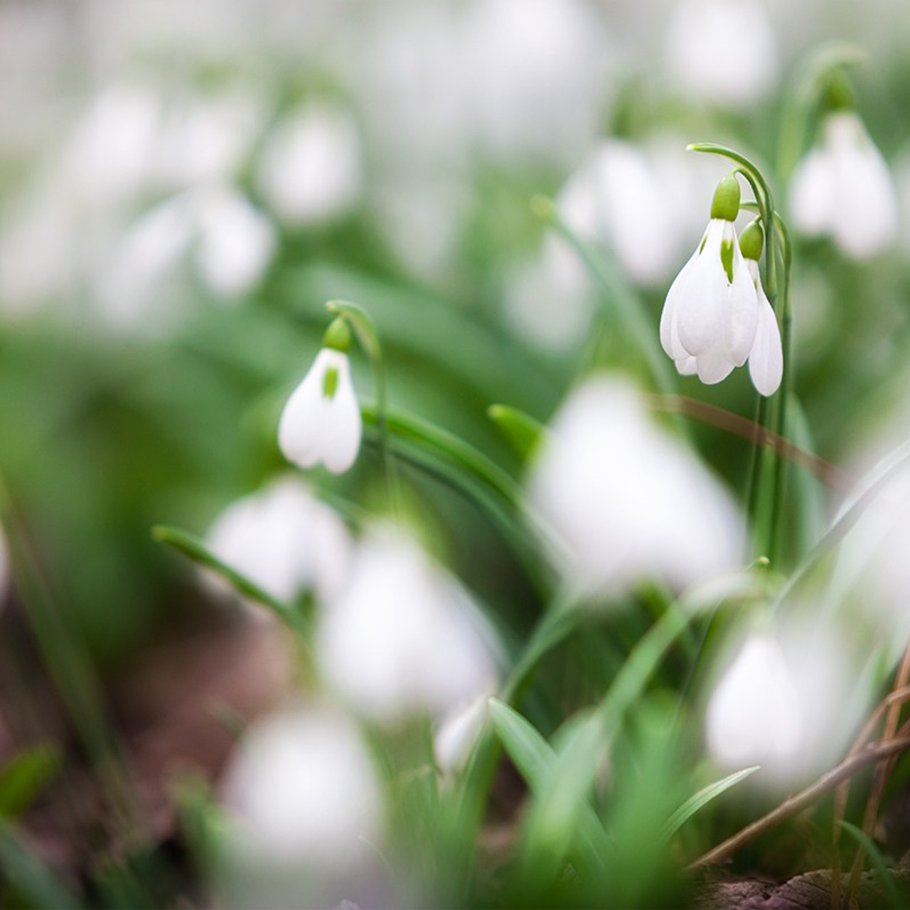 Весенний Крым. Пейзажный & Timelapse фотограф Роман Любимский