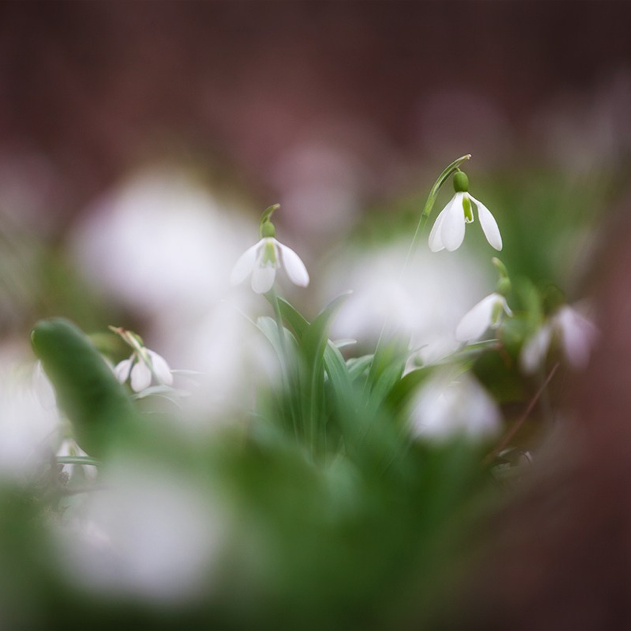 Весенний Крым. Пейзажный & Timelapse фотограф Роман Любимский