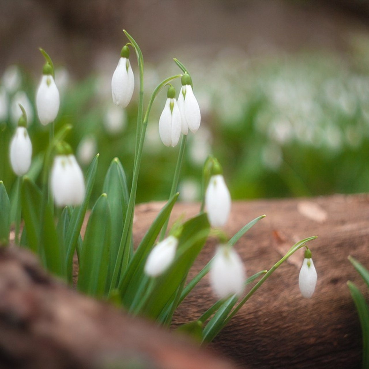 Весенний Крым. Пейзажный & Timelapse фотограф Роман Любимский