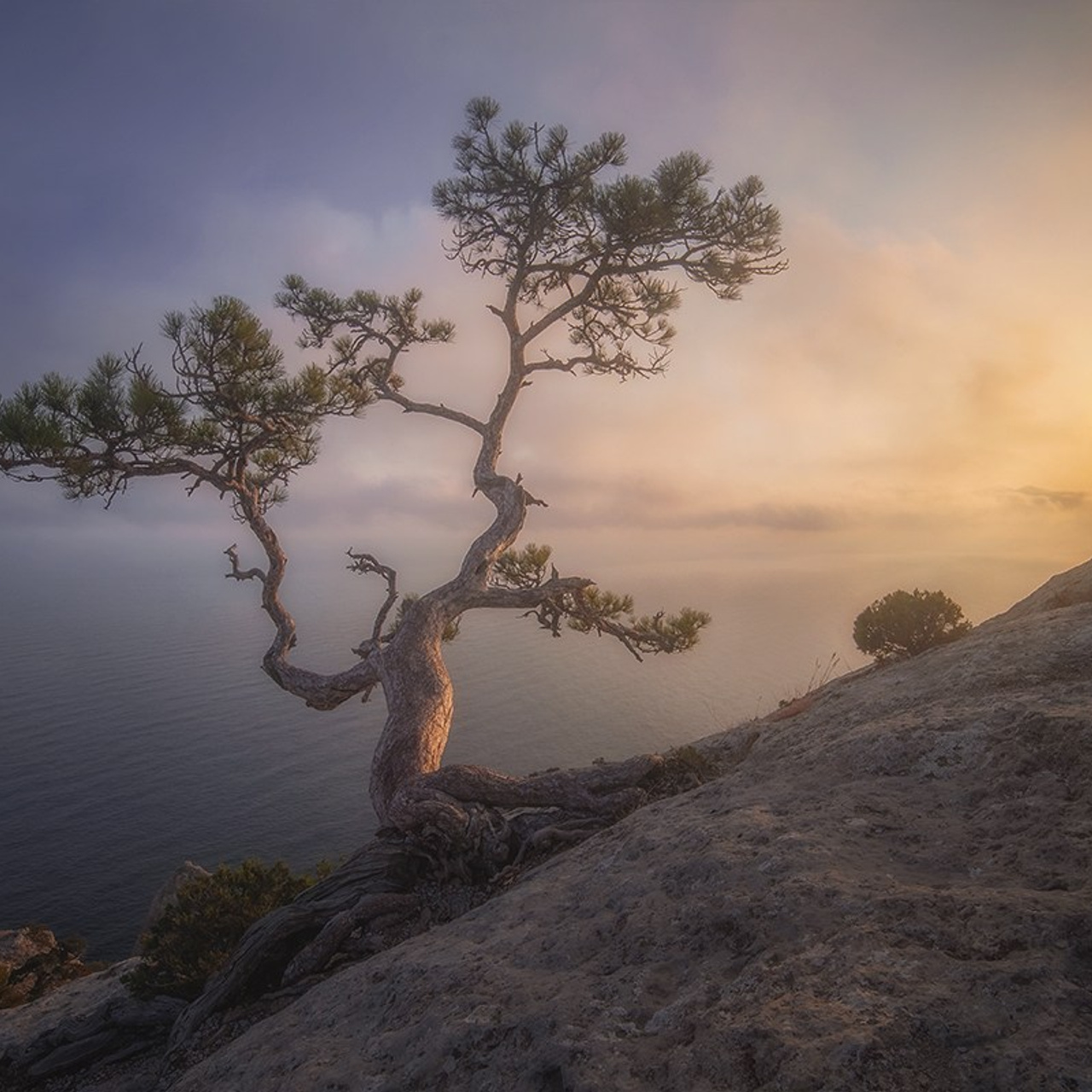 Весенний Крым. Пейзажный & Timelapse фотограф Роман Любимский