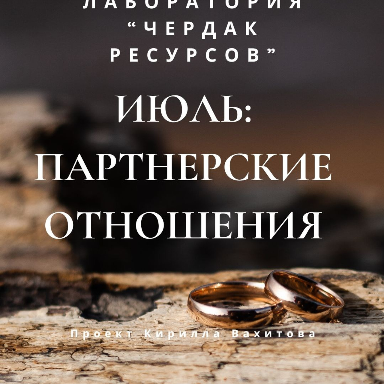 «Лаборатория ресурсов» вебинар «Партнеры»