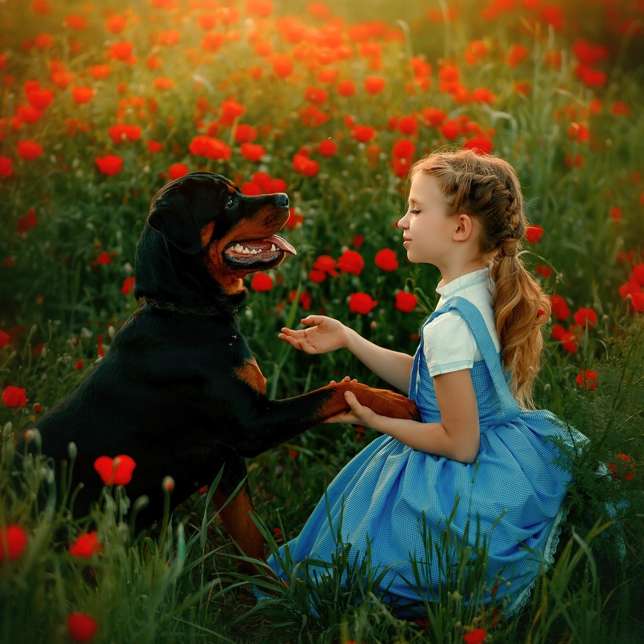 Отзывы. Волшебные фотосессии в Алматы