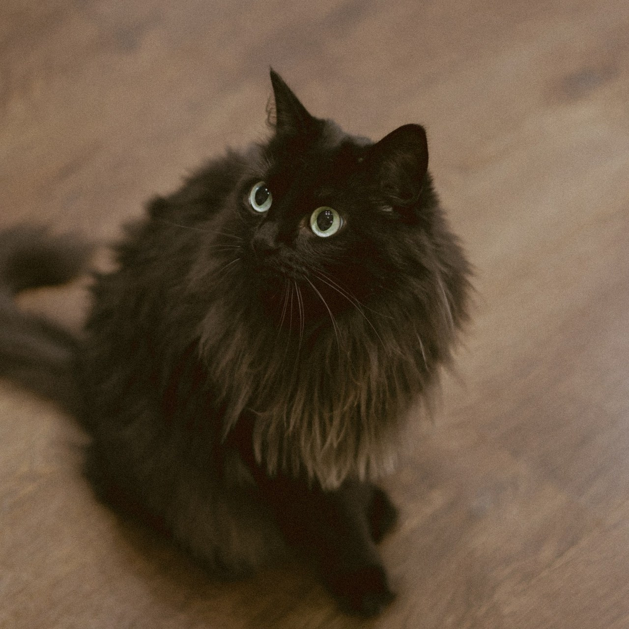 Отзывы. Фотограф Соня Кульмухамедова