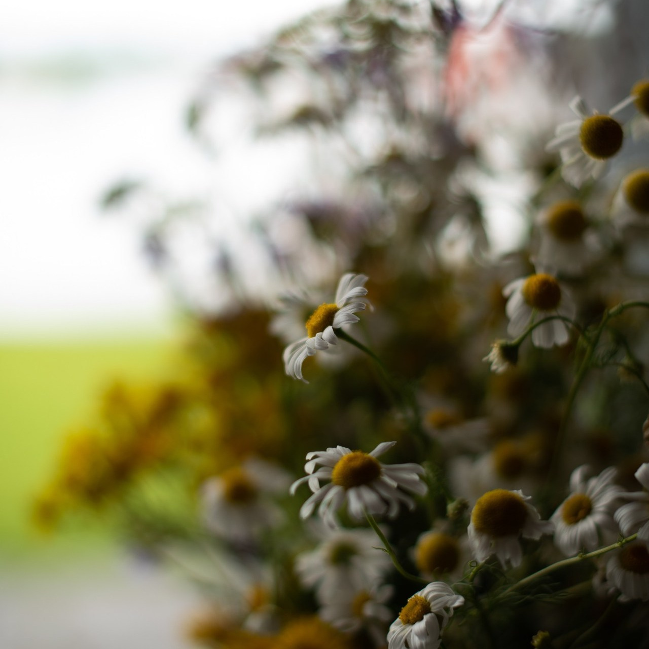 Отзывы о Фотографе Татьяна Ружникова. Свадебный фотограф в Миассе Татьяна Ружникова