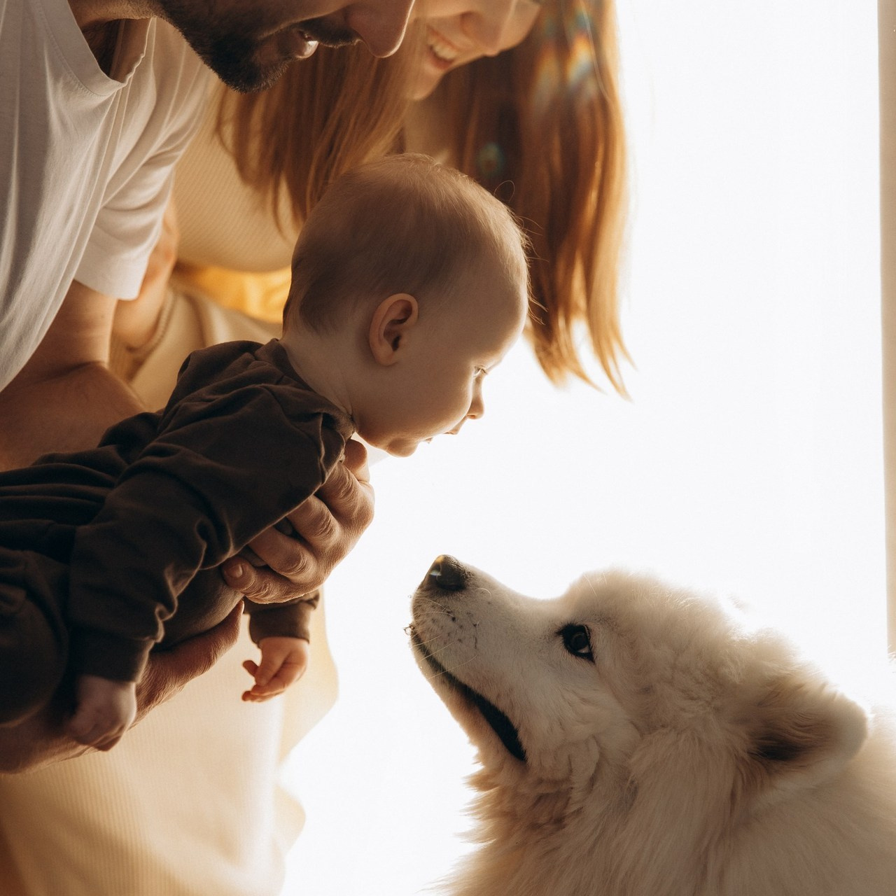 Отзывы. Свадебный и семейный фотограф в Красноярске Сиско Ксения