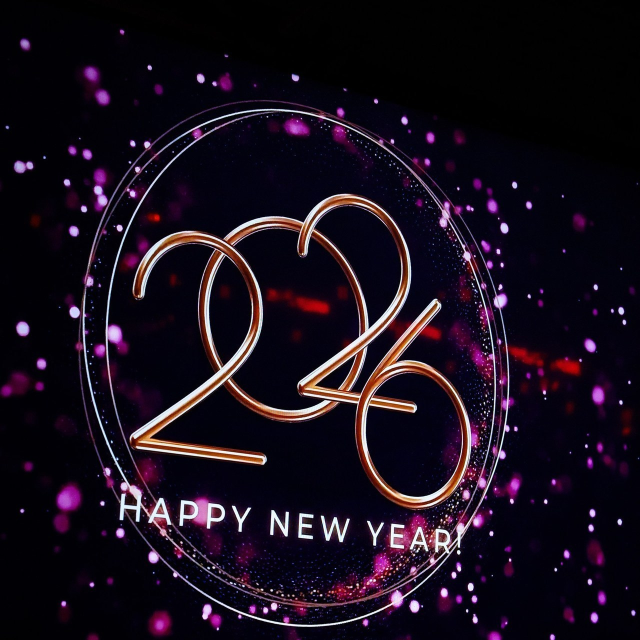 Отзывы. Репортажный фотограф в Москве Alena Sfotkaet