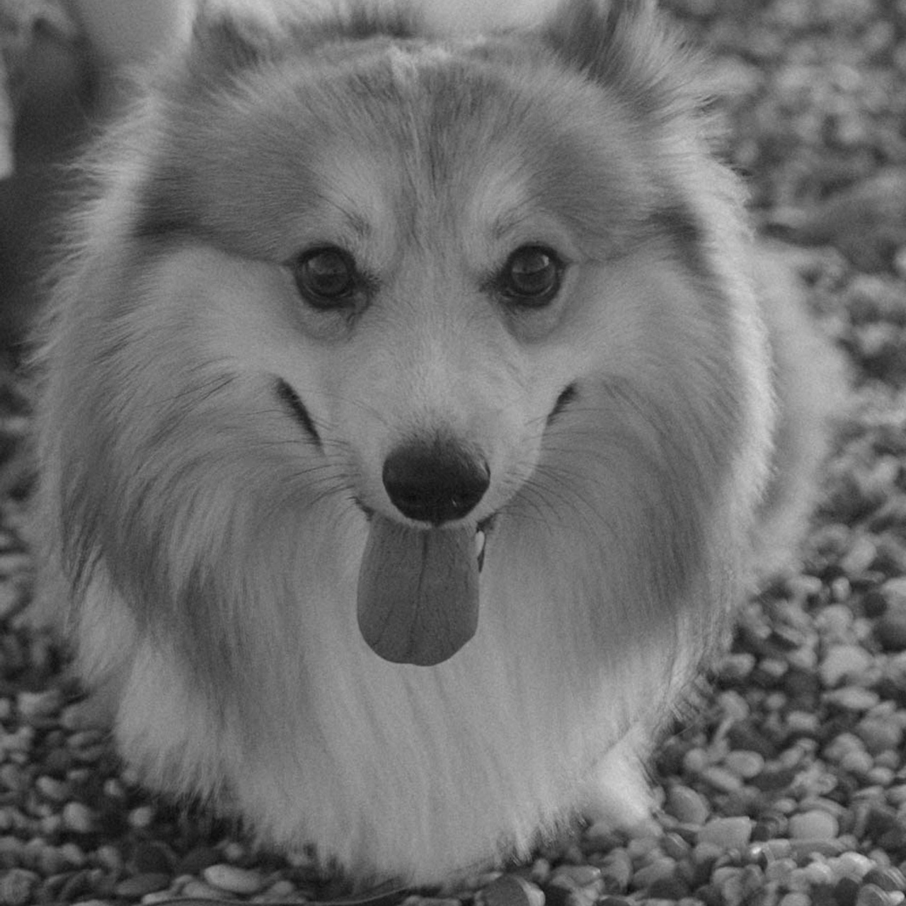 Отзывы. Индивидуальные и семейные съемки в Евпатории, Крыму Немировченко Анна