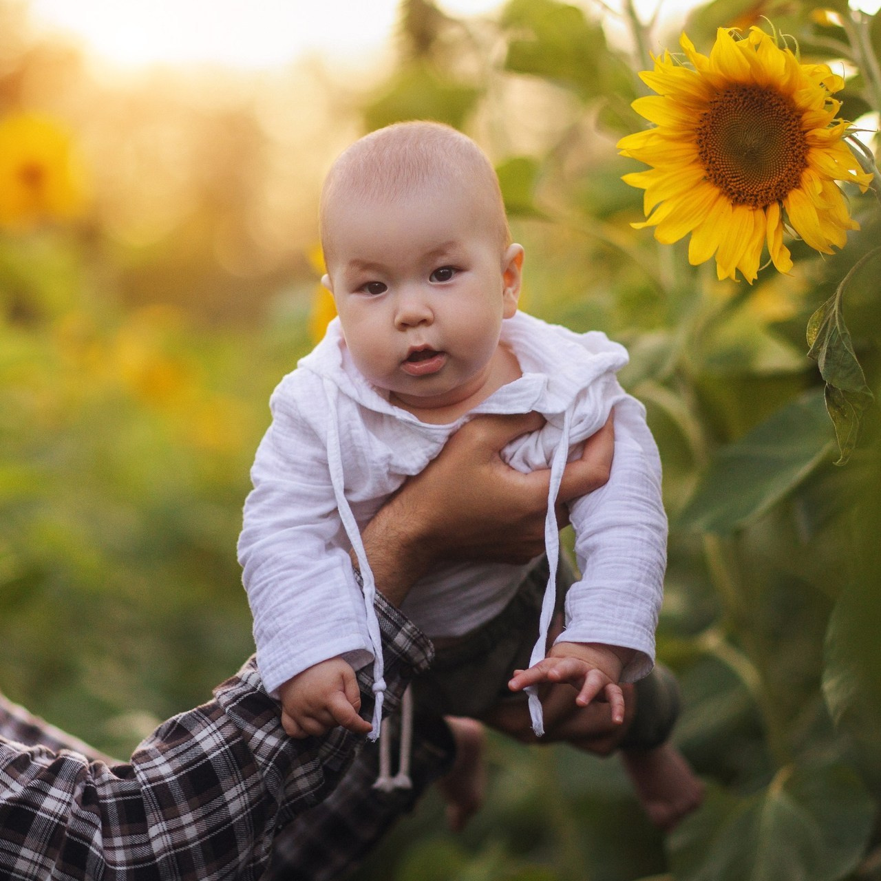 Отзывы. Главная