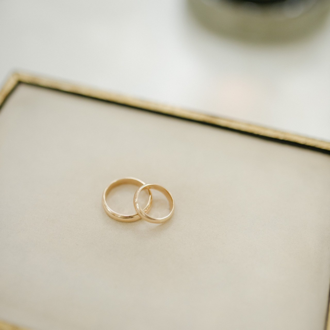 Отзывы. Фотограф Алина Беспамятная Краснодар