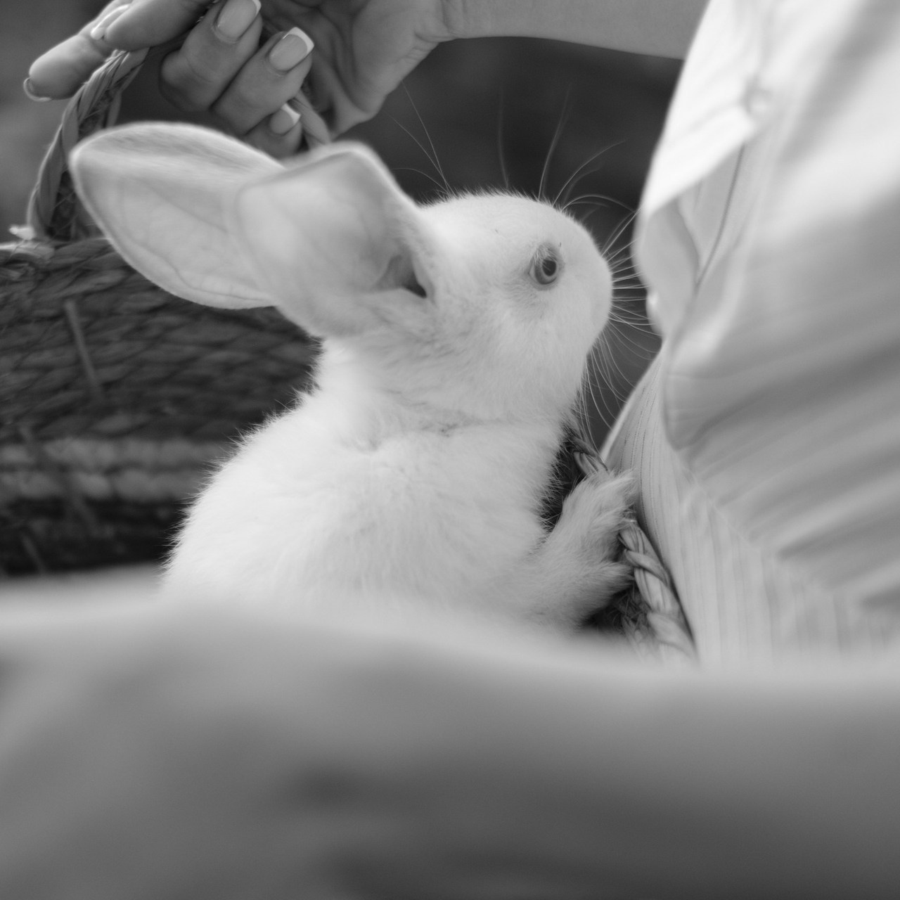 Отзывы. Фотограф в Санкт-Петербурге — Катерина Варзетова