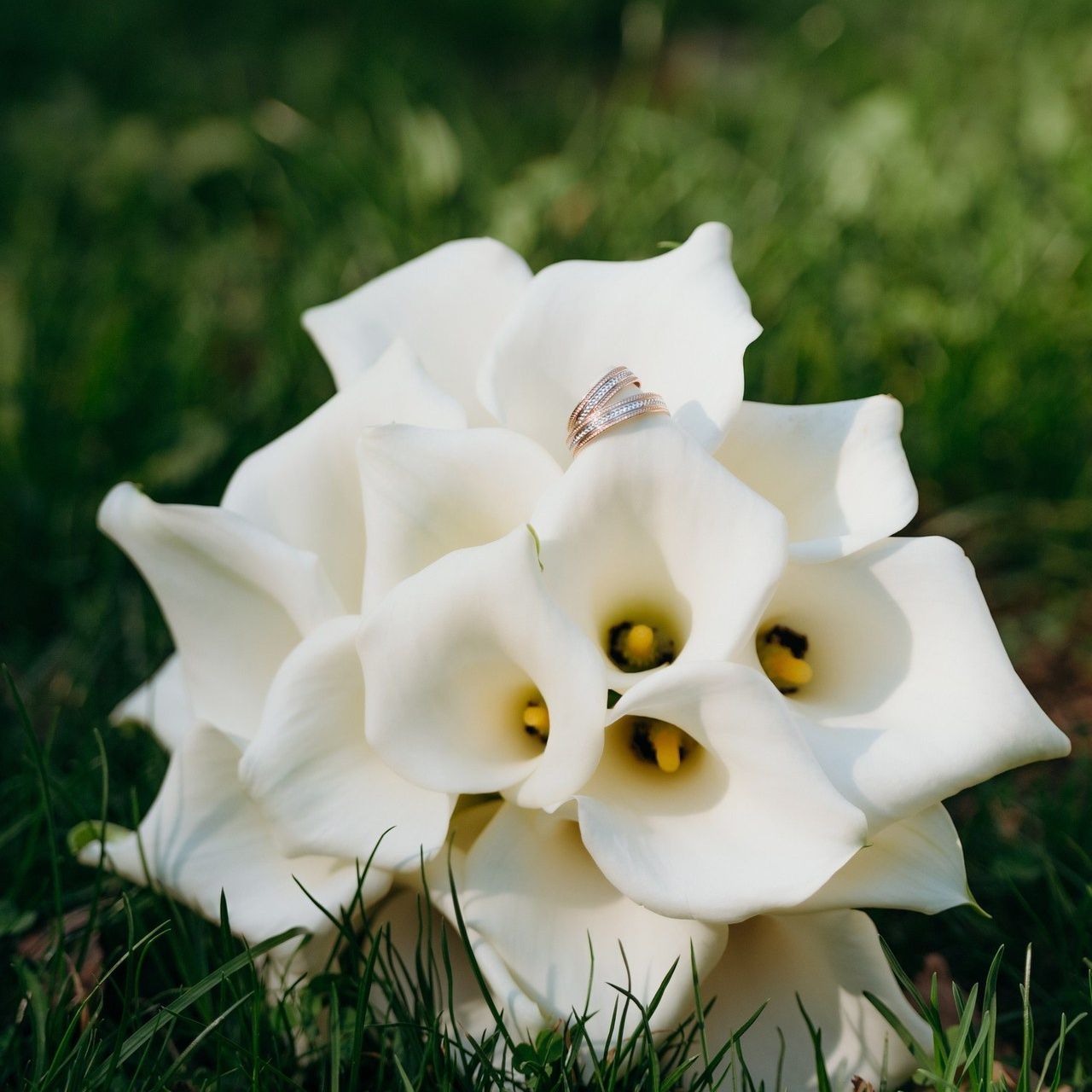 Отзывы. Event/Food Фотограф Стас Синельников