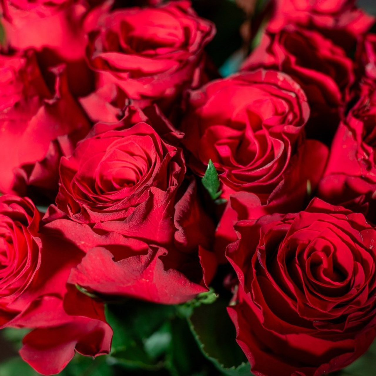 Отзывы. Семейный фотограф на выписку из роддома и крещение Минск Настя Гришук