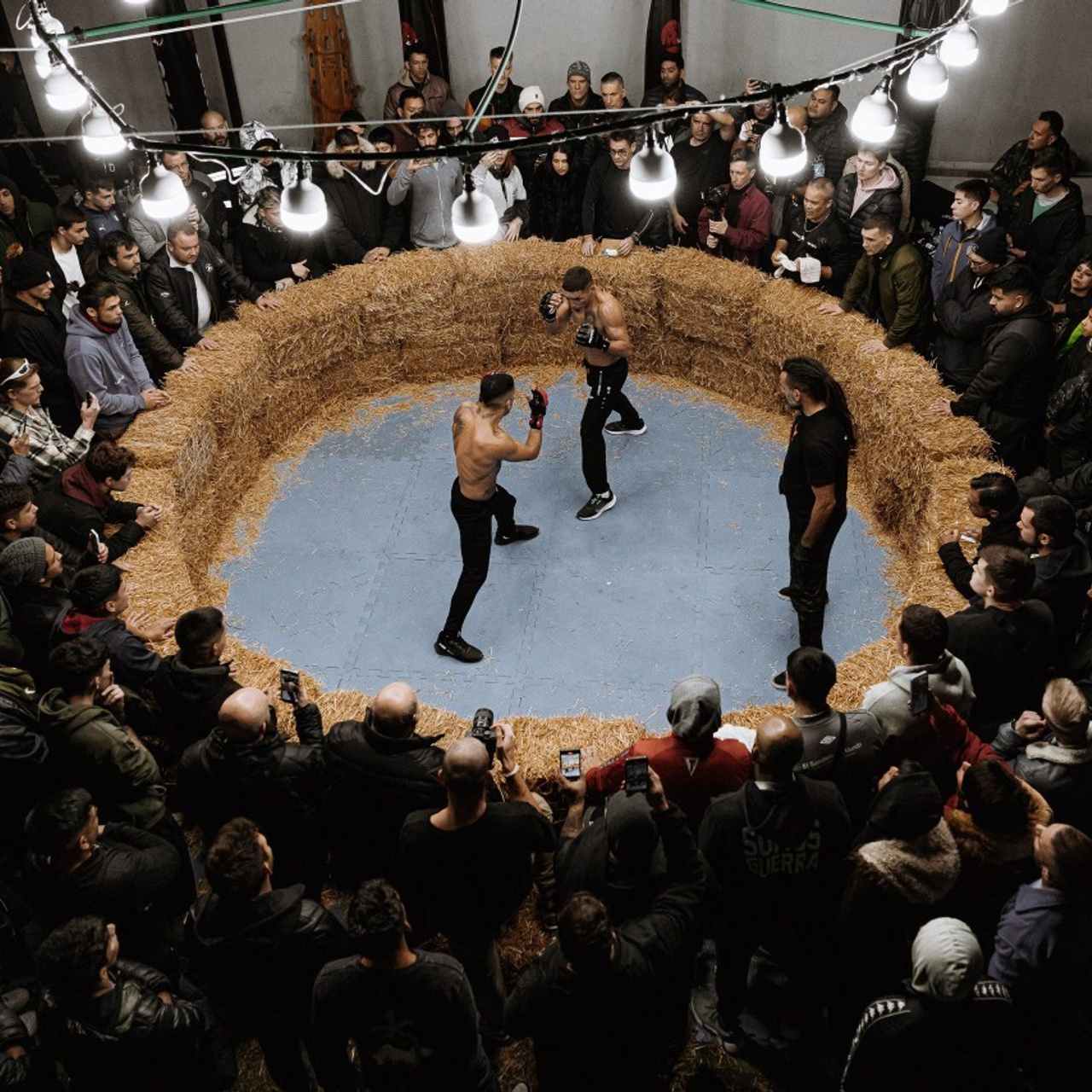 ОТЗЫВЫ. Фотограф в Сочи, Репортажный фотограф Виктор Кочков-Филатов