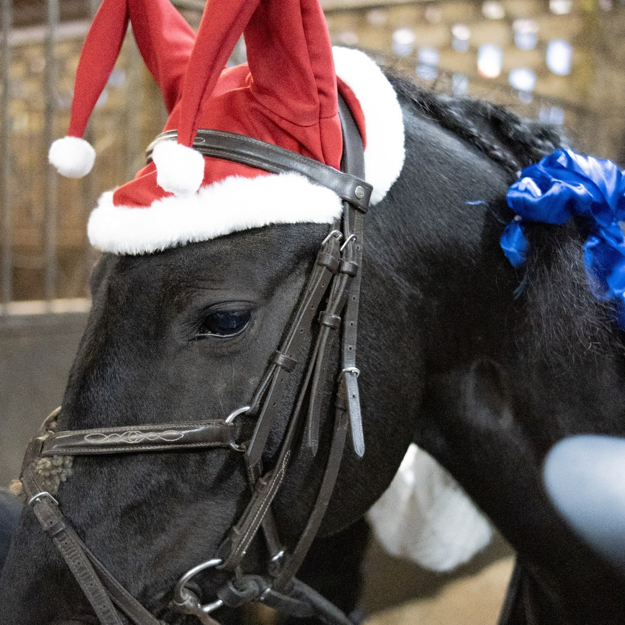 Отзывы. Fashion photographer sochi