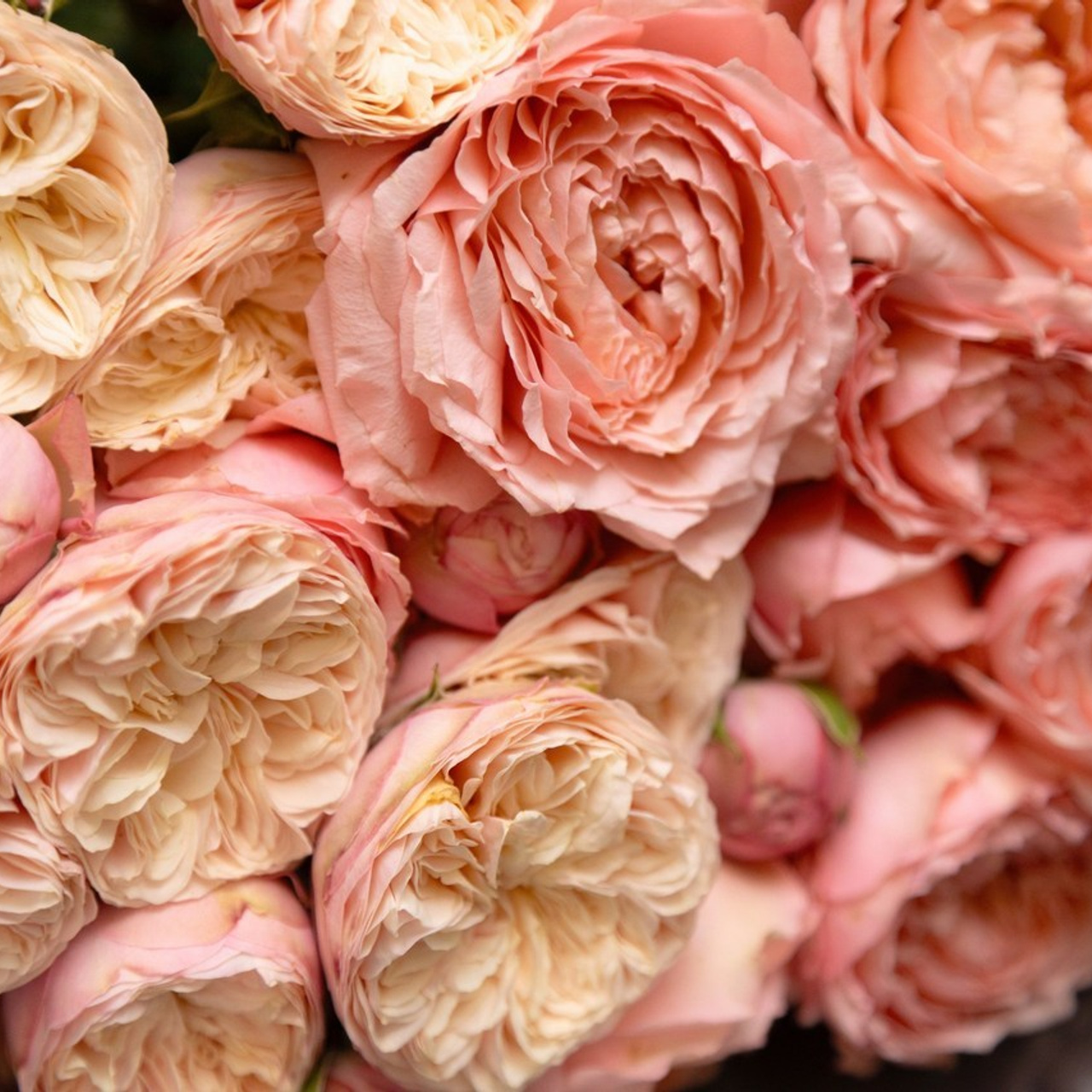 Фотограф на выписку в роддом в Санкт-Петербурге