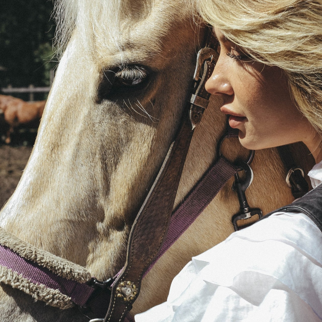 Отзывы. Фотограф Валерия Фетисова