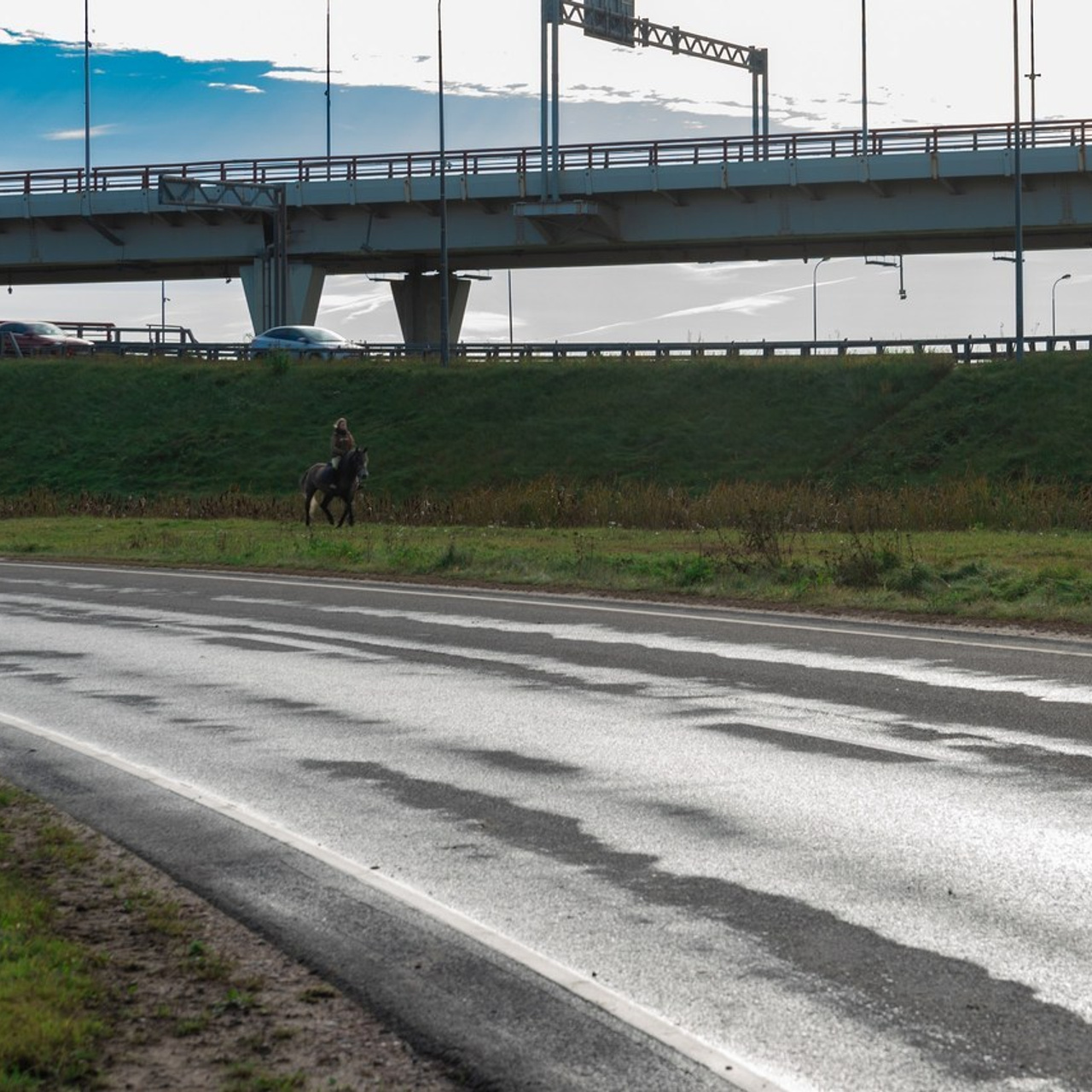 Отзывы. Фотограф в Санкт-Петербурге Виктор Кудряшов