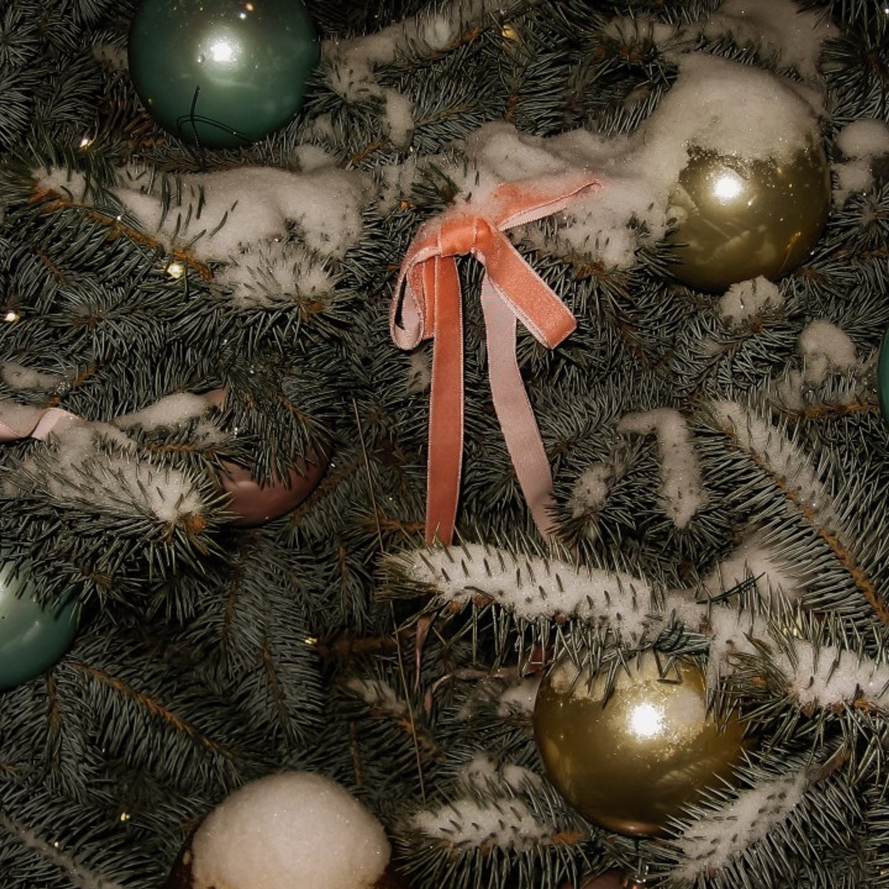 Отзывы. Портретный и свадебный фотограф в Москве Финкельштенй Анна