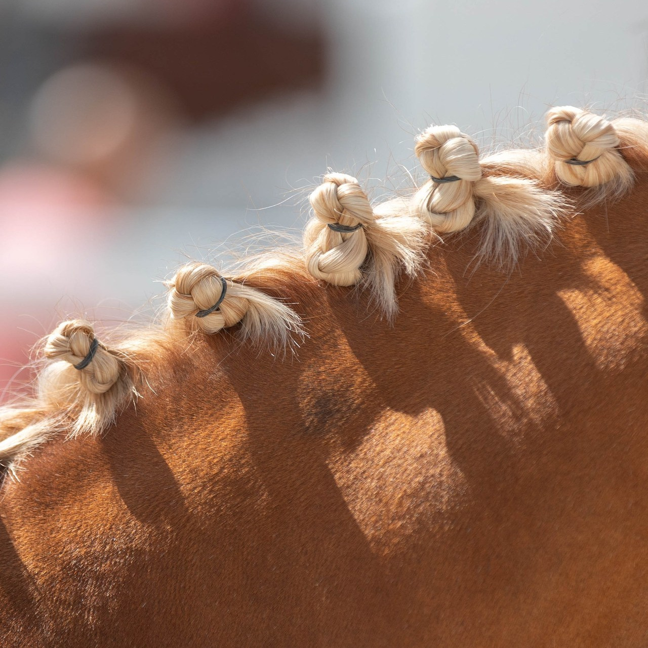 Отзывы. Фотограф Юлия Калинина