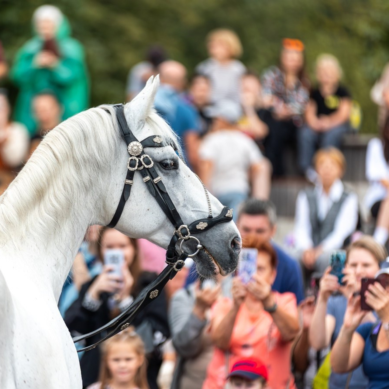 Отзывы. Фотограф Юлия Калинина