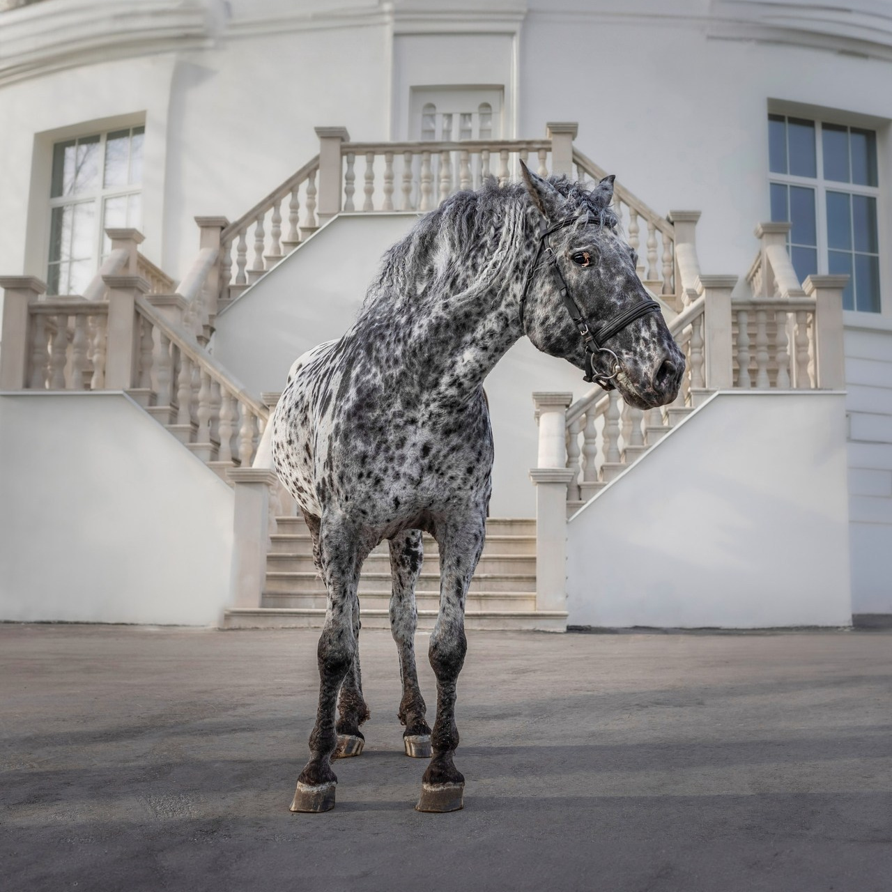 Отзывы. Фотограф Юлия Калинина