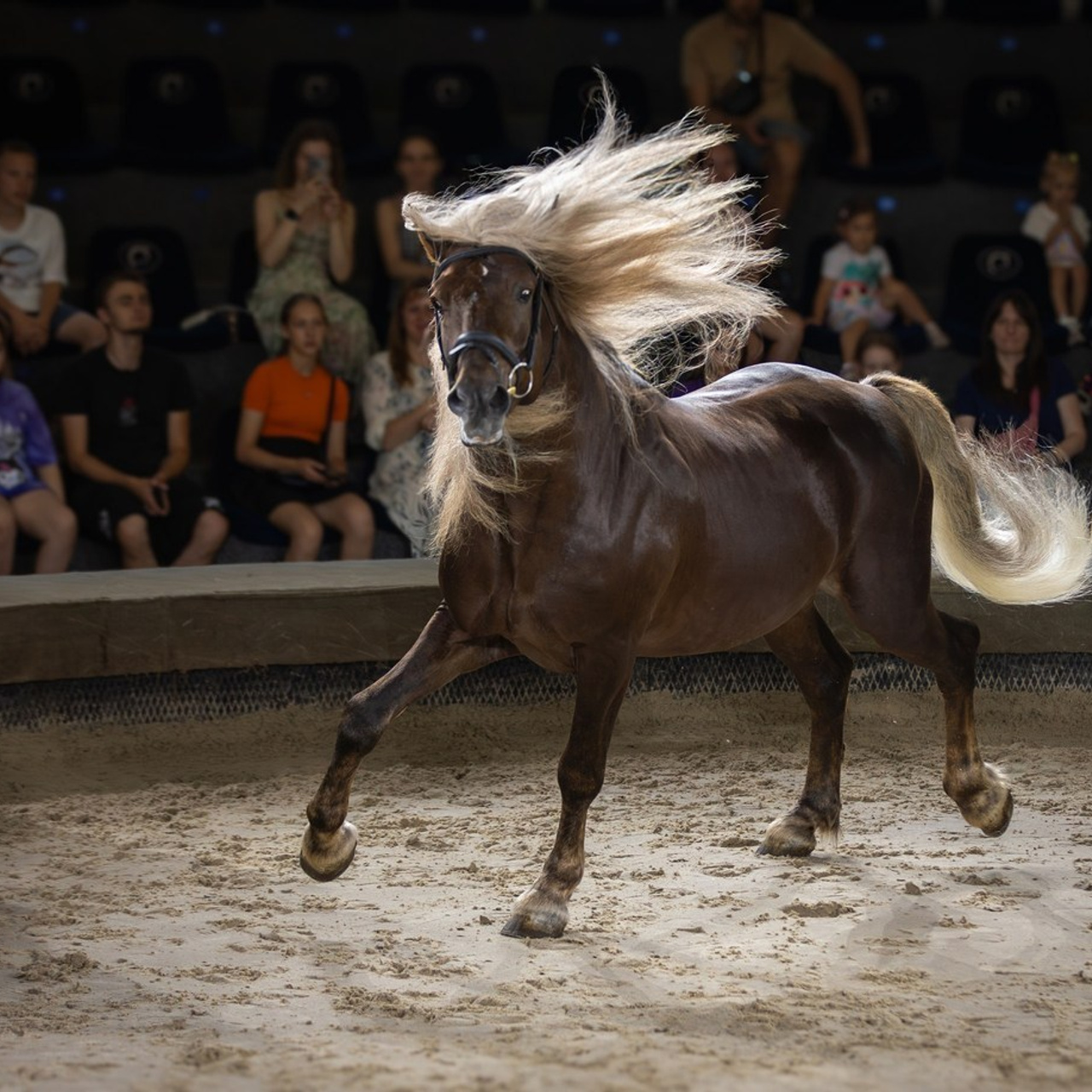 Отзывы. Фотограф Юлия Калинина