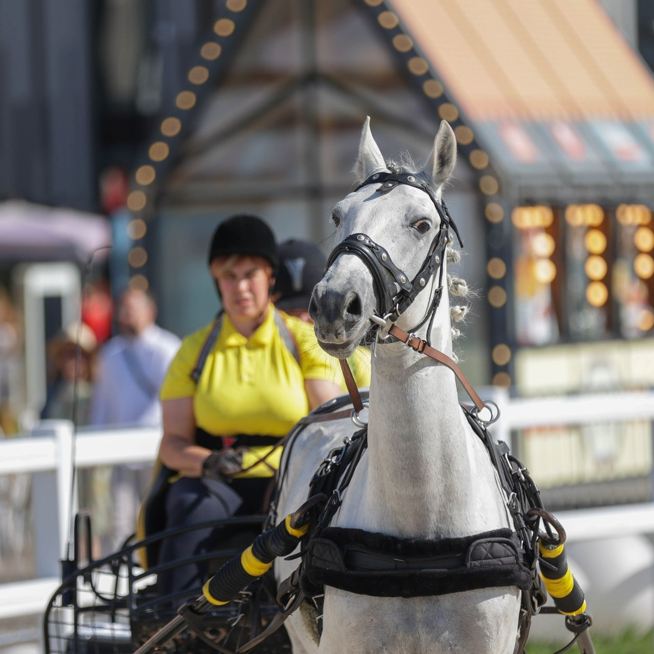 Отзывы. Фотограф Юлия Калинина