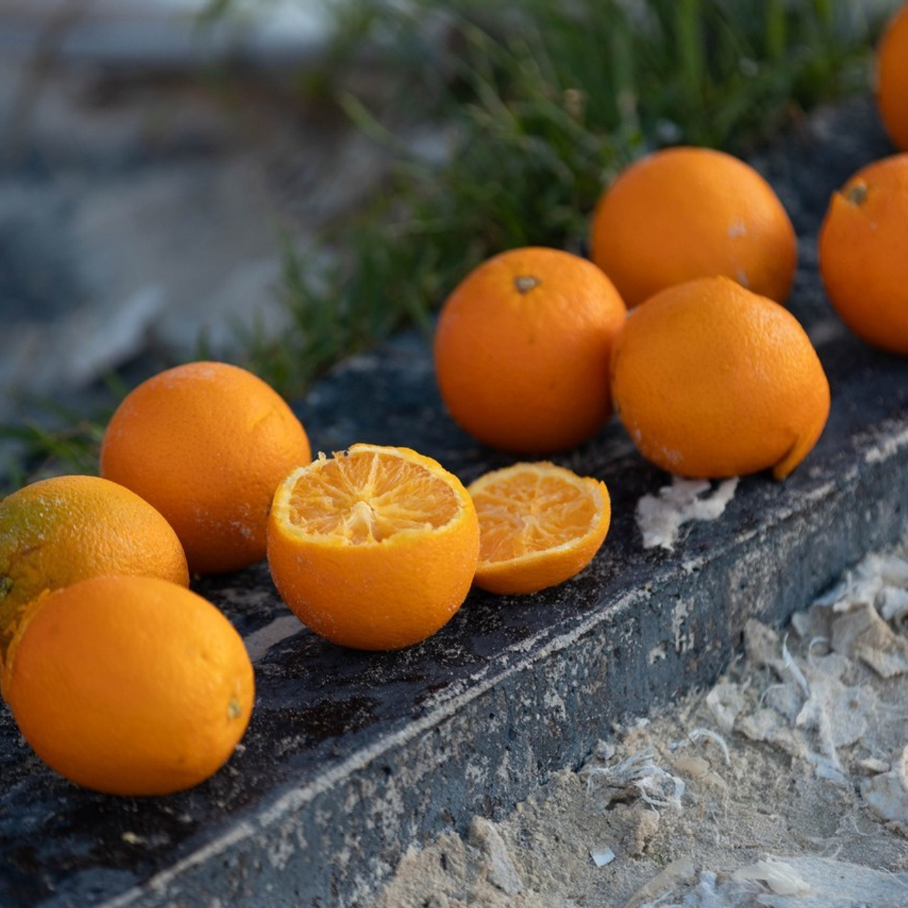 Отзывы. Фотограф Юлия Калинина