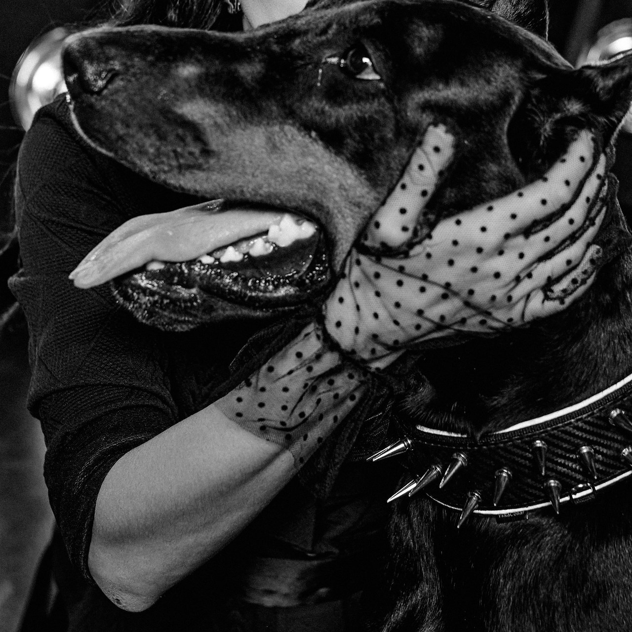 Отзывы. Свадебный фотограф Чайковский