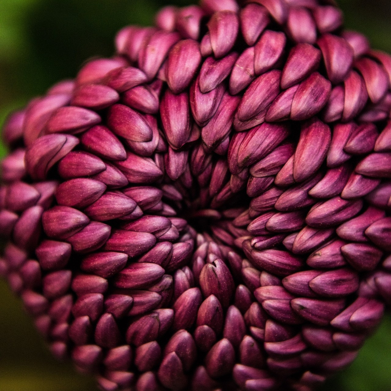 Отзывы. Арт фотограф