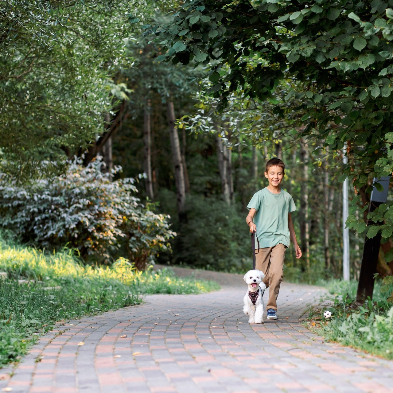 Отзывы. Семейный и детский фотограф в Москве Тихонова Ксения