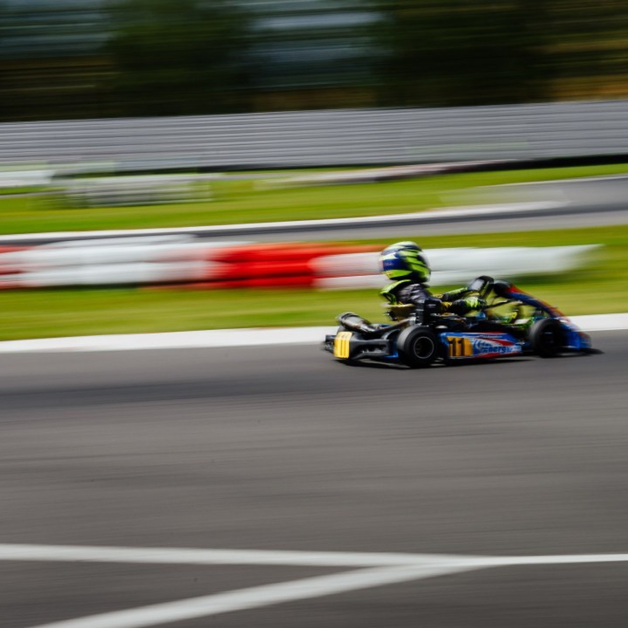 Отзывы. Елена Чеснокова спортивный фотограф во Владимире и Белграде