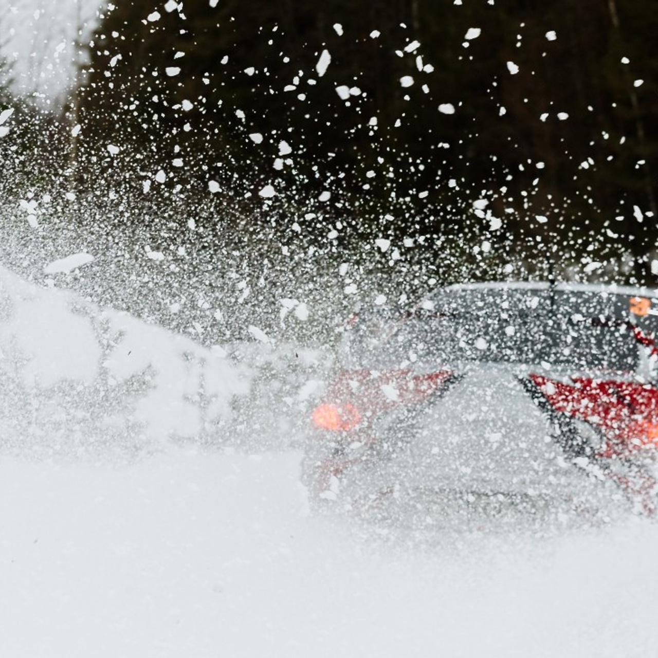 Отзывы. Елена Чеснокова спортивный фотограф во Владимире и Белграде