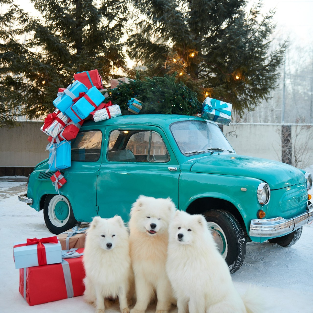 Отзывы. Фотограф-визажист в Красноярске Алина Духновская