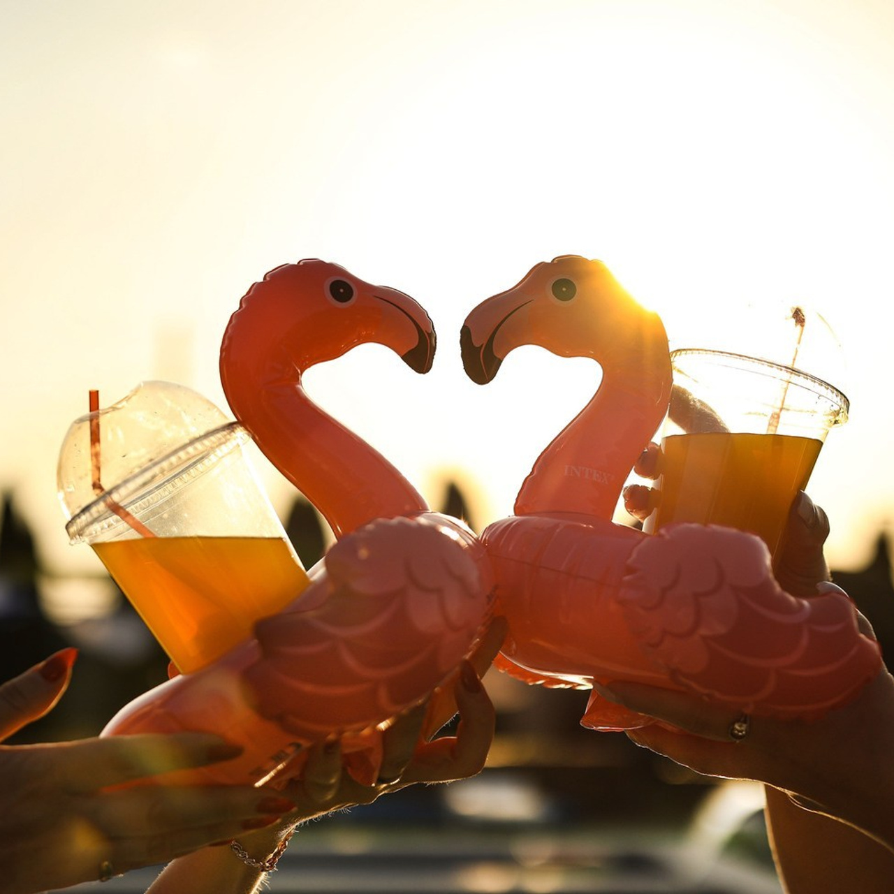 Отзывы. Фотограф каневская видеограф свадьба рысинова ольга @orysinova